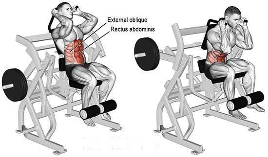 坐姿卷腹机怎么用?坐姿卷腹器械正确使用方法