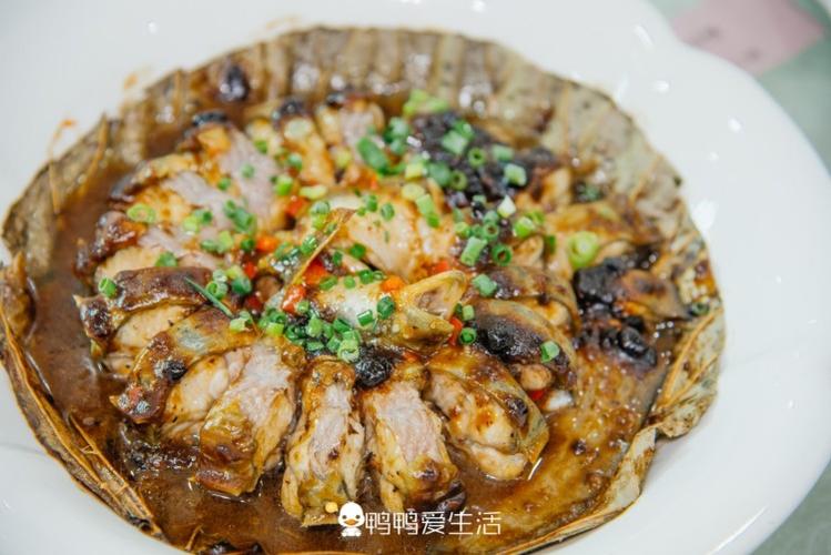 【广州南沙验客】走进"地球之肾",吃好玩好