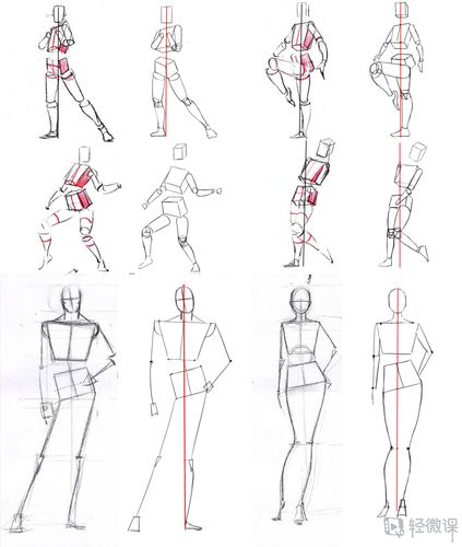 作业:如何学画板绘动漫人物之人体临摹画法与训练技巧