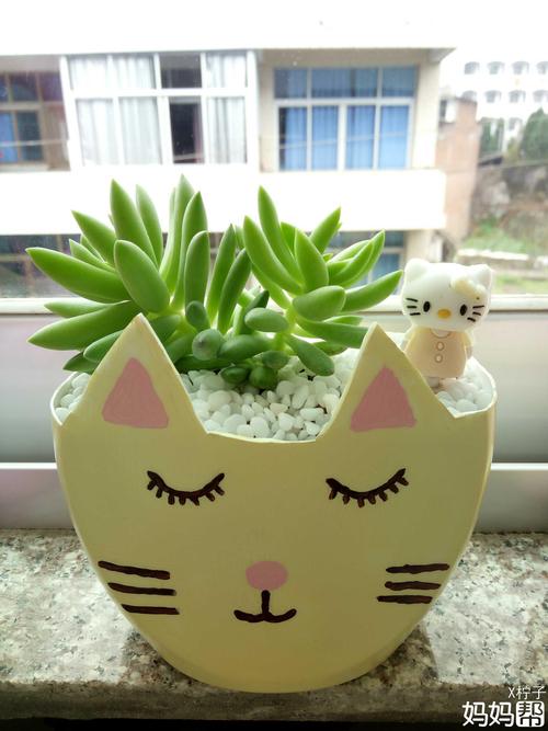 变废为宝之diy花盆