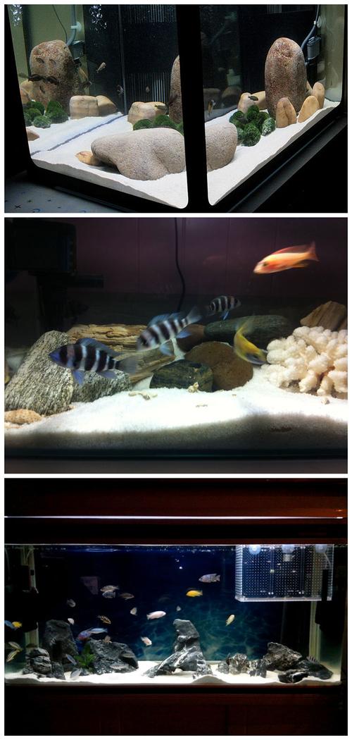 白沙子鱼缸底砂造景砂草缸造景溪流装饰三湖鱼底沙地台拍照展示沙