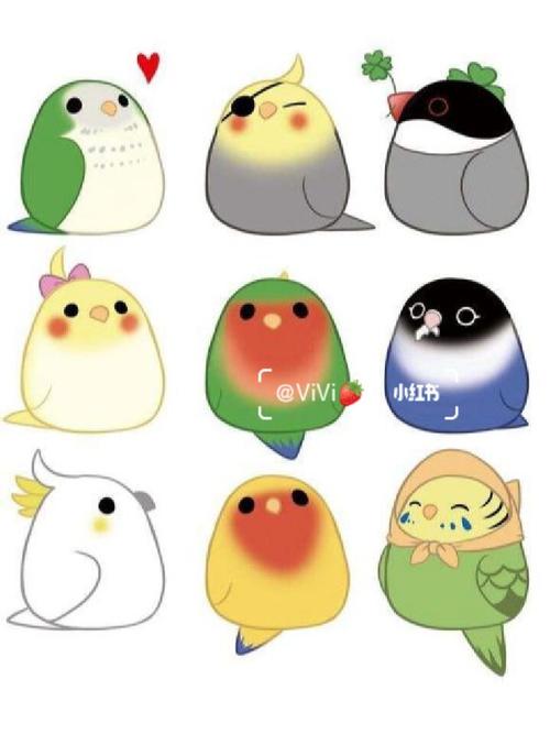 玄凤鹦鹉q版图分享_鹦鹉_玄凤_宠物_我家宠物好可爱_宠物_宠物其他