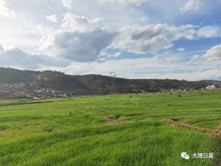 永平县杉阳镇爱国卫生7个专项行动持续推进美丽乡村画中来