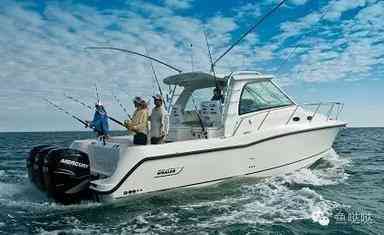 浅谈出海船钓的钓具装备及钓法