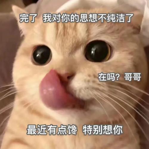 萌宠表情包:最近有点馋,特别想你!