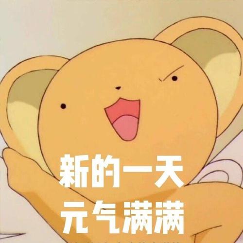 今日份可爱表情包