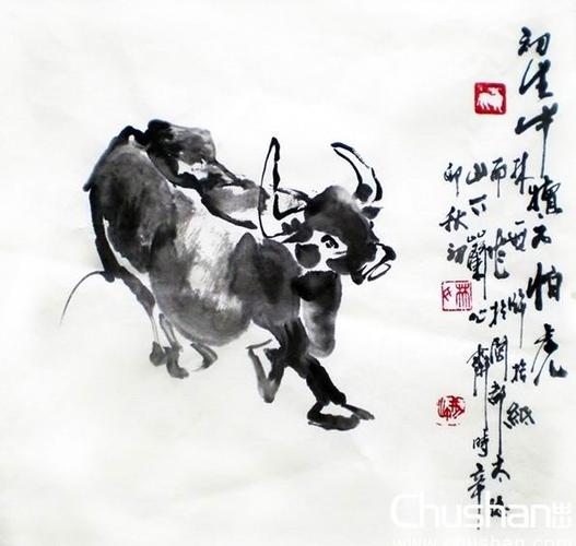 初生牛犊不怕虎