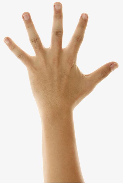 搜图123提供独家原创左手手背下载,此素材图片已被下载20次,被收藏1次