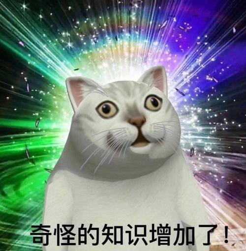 奇怪的知识增加了 与表情包完全适配的王俊凯