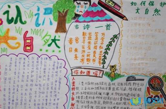 低碳春节手抄报内容
