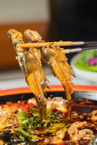 鱼肉|鱼头|黄辣丁_网易