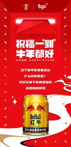 红牛维生素风味饮料