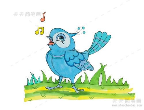 喜鹊简笔画图片带颜色教程，一步一步的画喜鹊简笔画