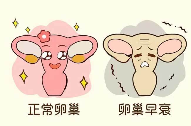 卵巢早衰,amh值低于1,做试管如何逆袭好孕