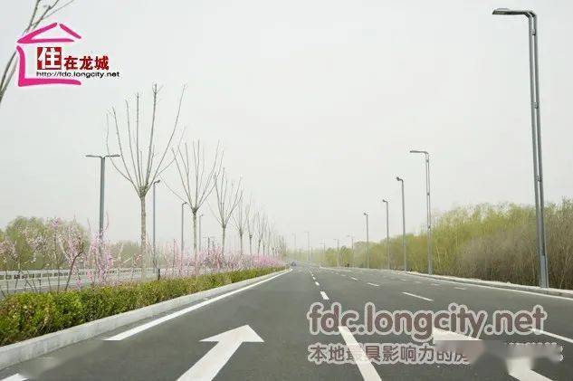 已经建成的阳兴大道