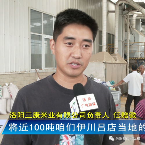 伊川县吕店镇:谷子金灿灿 农户笑盈盈