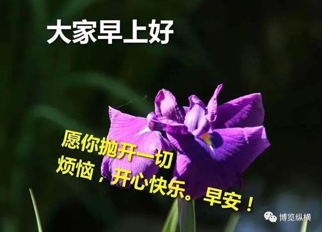 上午好表情大全动态图片上午好问候语图片带字