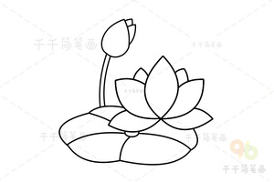 荷花简笔画画法步骤